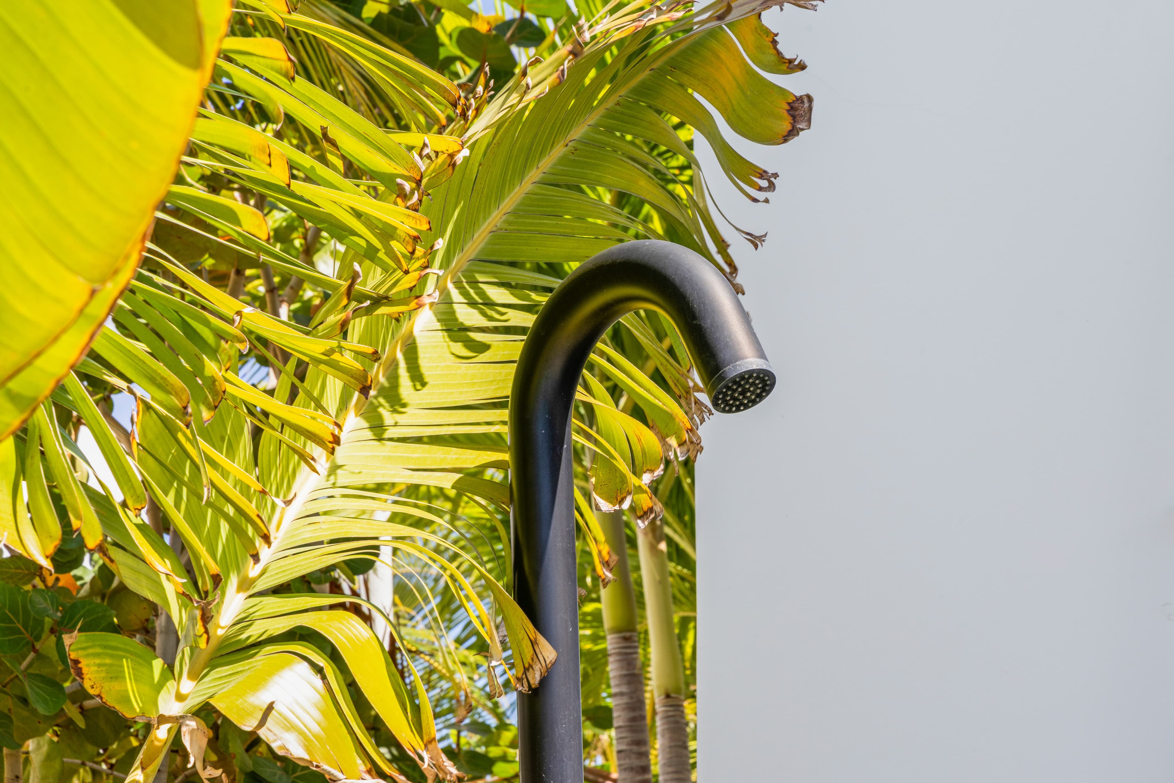 Holland House - Blue Bay - op een Klif met Fenomenaal Zeezicht