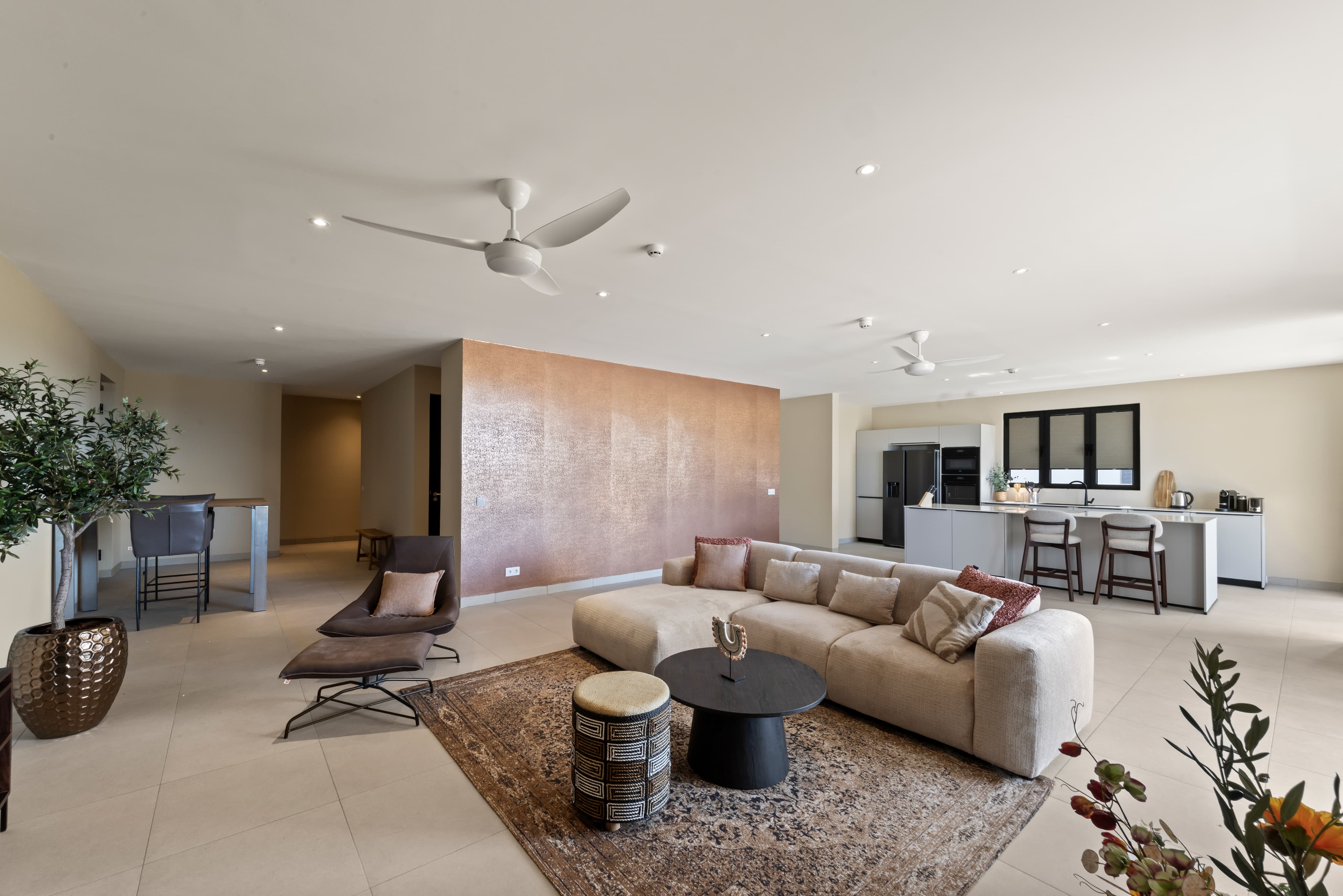 Holland House - Cape Marie C4